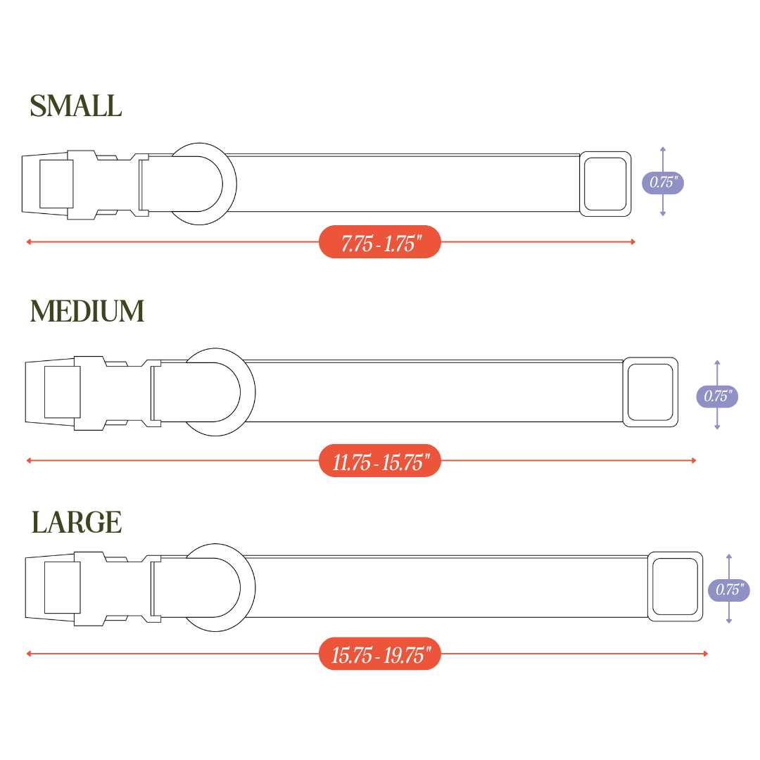 Tilley + Me PVC Dog Collar - All Weather Waterproof Durable & Odor-Resistant