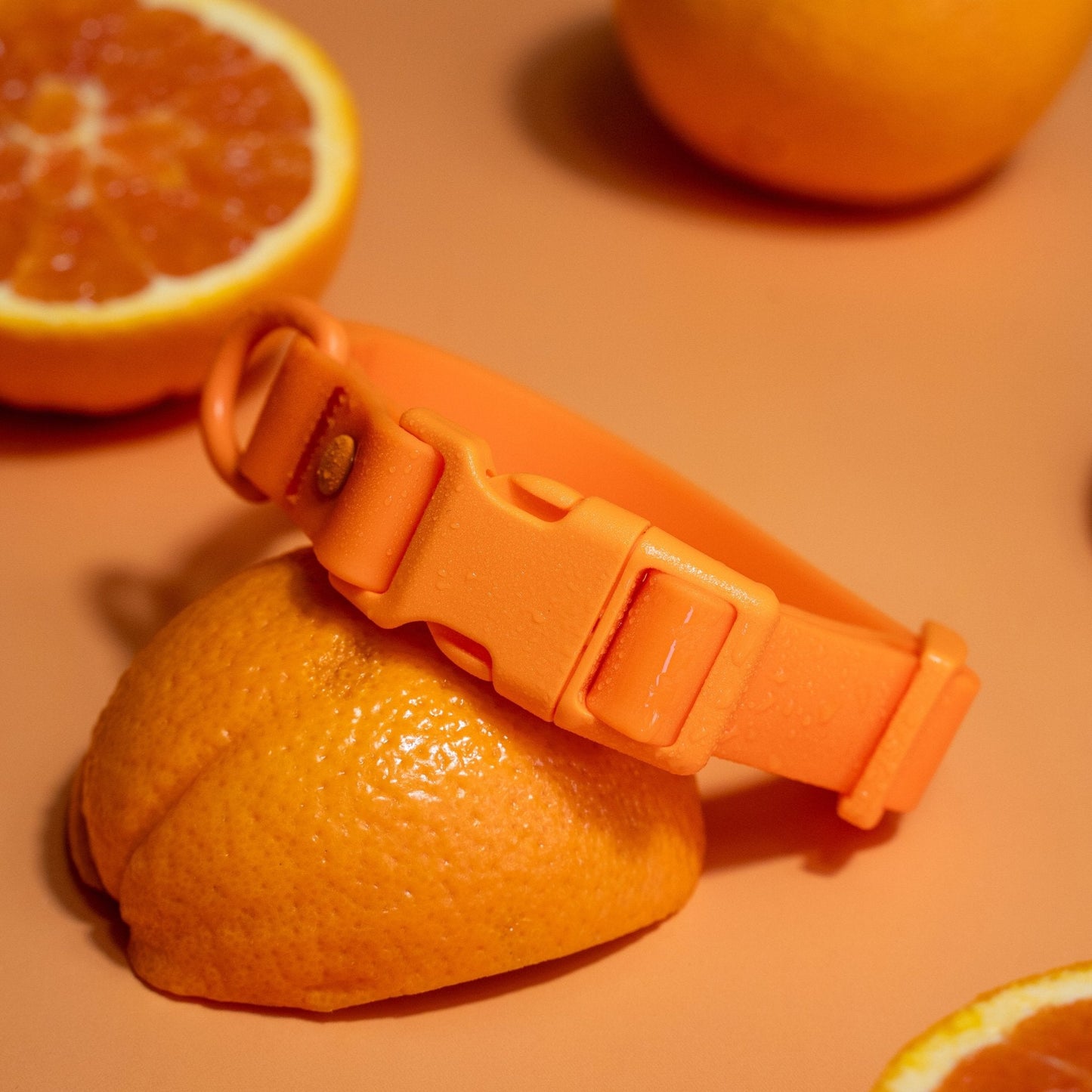 Tilley + Me PVC Dog Collar - All Weather Waterproof Durable & Odor-Resistant