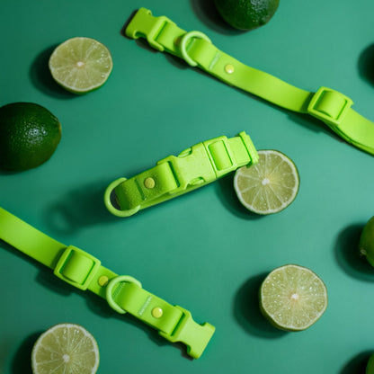 Tilley + Me PVC Dog Collar - All Weather Waterproof Durable & Odor-Resistant