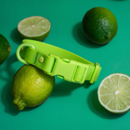 Tilley + Me PVC Dog Collar - All Weather Waterproof Durable & Odor-Resistant