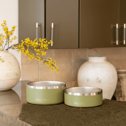 Tilley + Me Stainless Steel Pet Bowl – Non-Slip, Durable & Dishwasher Safe | 32oz and 64oz