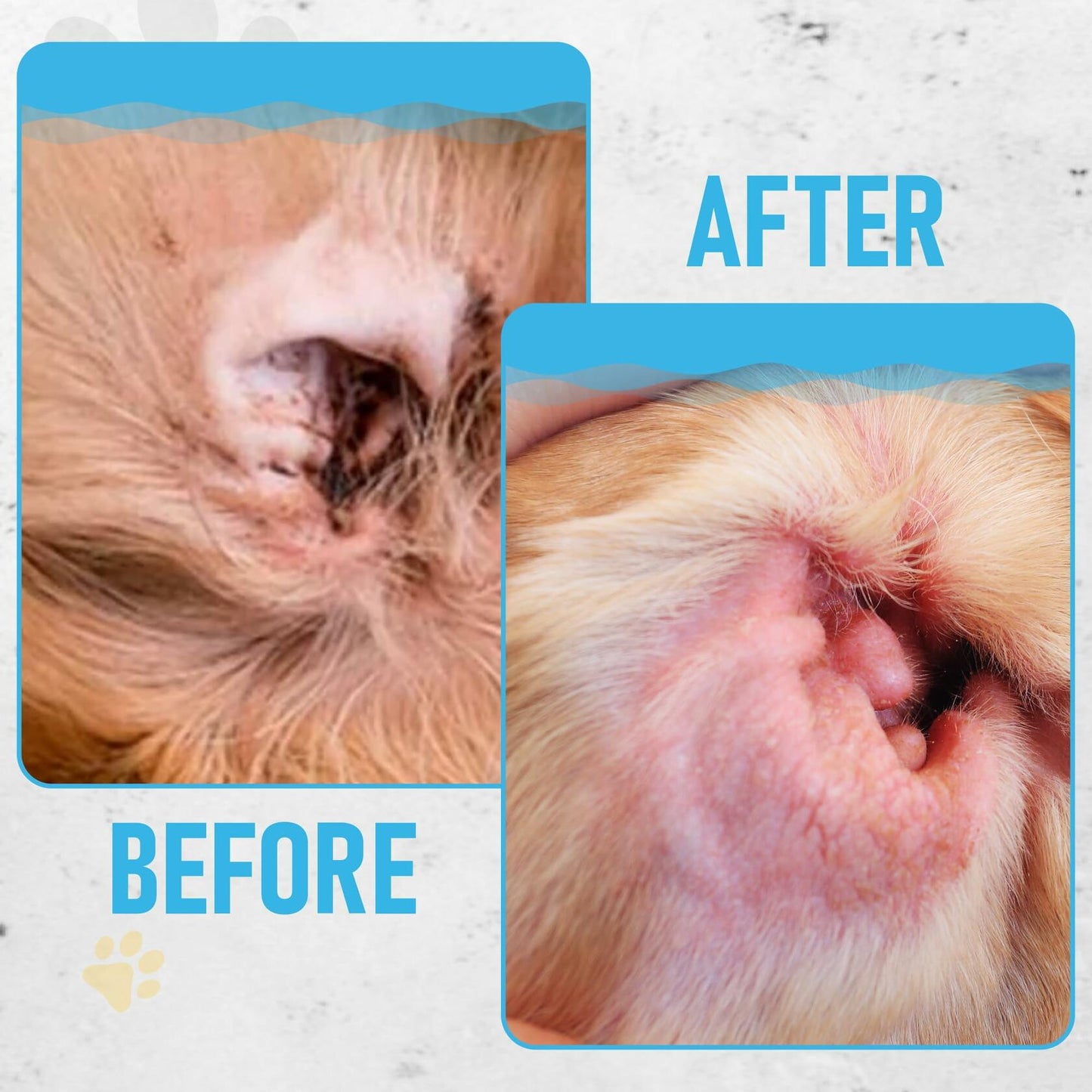 BestBy06/27 Petazy Dog Ear Wipes Unscented Natural Soothing 120 XL Pcs